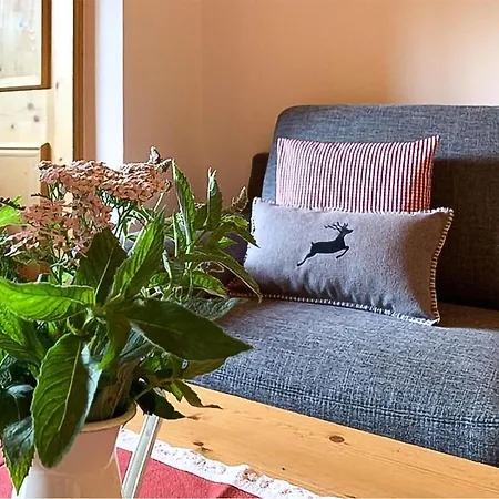 Awesome Apartment In Alpbach With Kitchen Apartment
